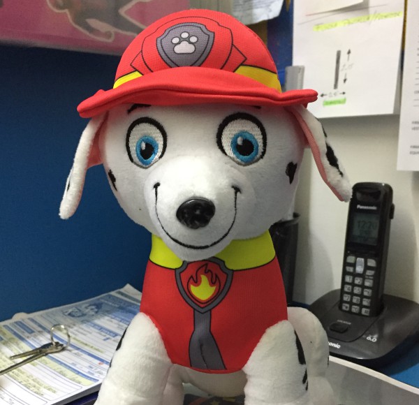 show-pawpatrol-puppets